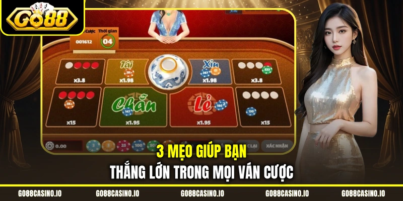 Xóc Đĩa Online - Hướng Dẫn Cách Chơi Cực Chuẩn Từ A - Z 4 3 mẹo giúp bạn thắng lớn trong mọi ván cược