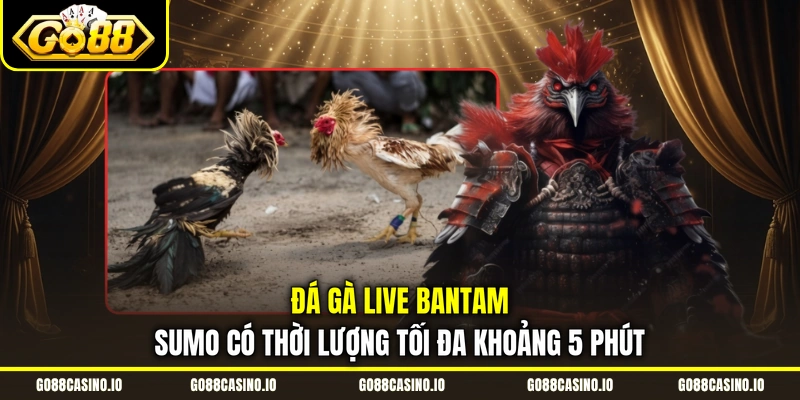 Đá Gà Live Go88 Độc Đáo Với Loại Hình Chọi Bantam Sumo 2 Đá gà live Bantam Sumo có thời lượng tối đa khoảng 5 phút